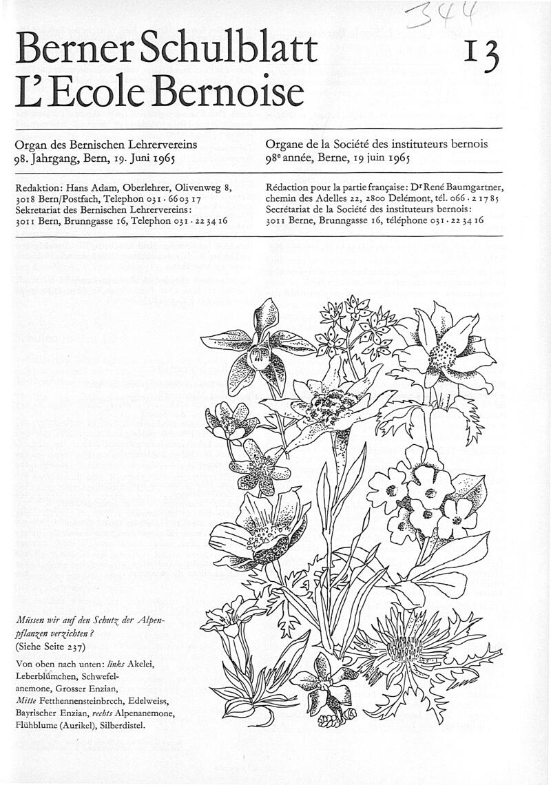 Buchumschlag - Heft 13