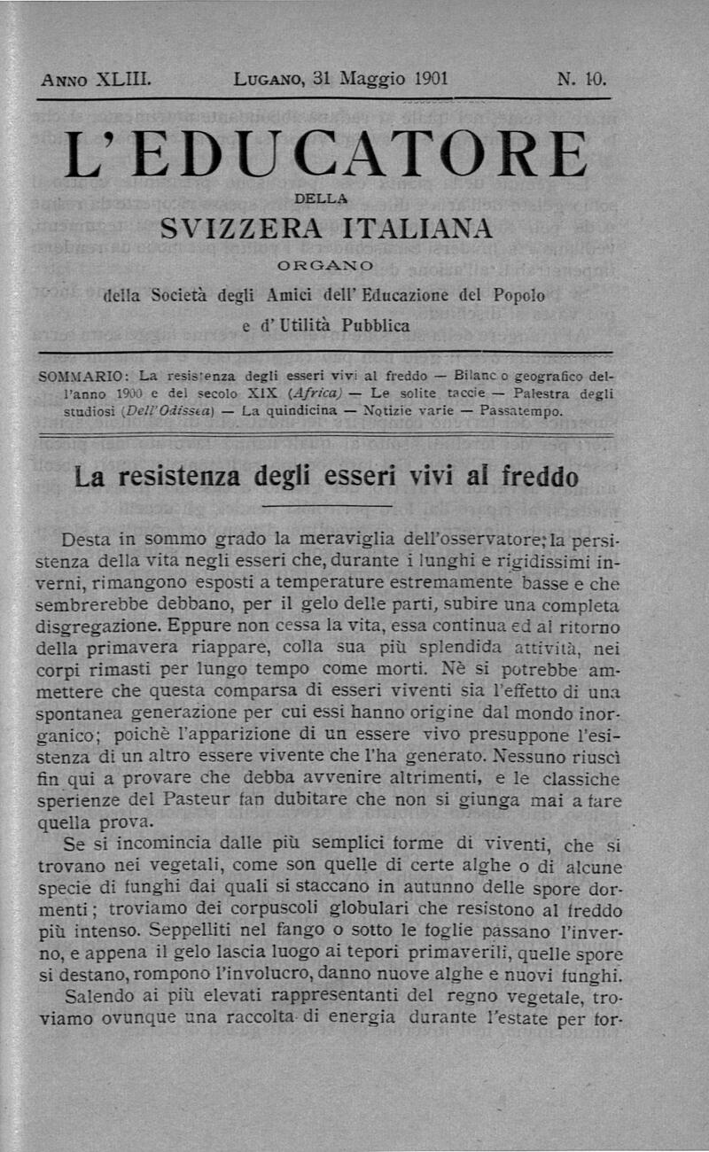 Buchumschlag - Heft 10