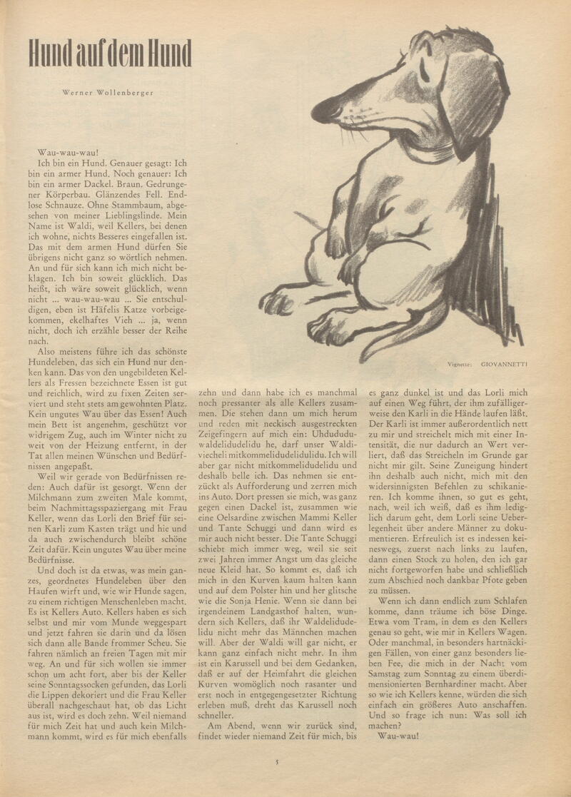 E Periodica Hund Auf Dem Hund