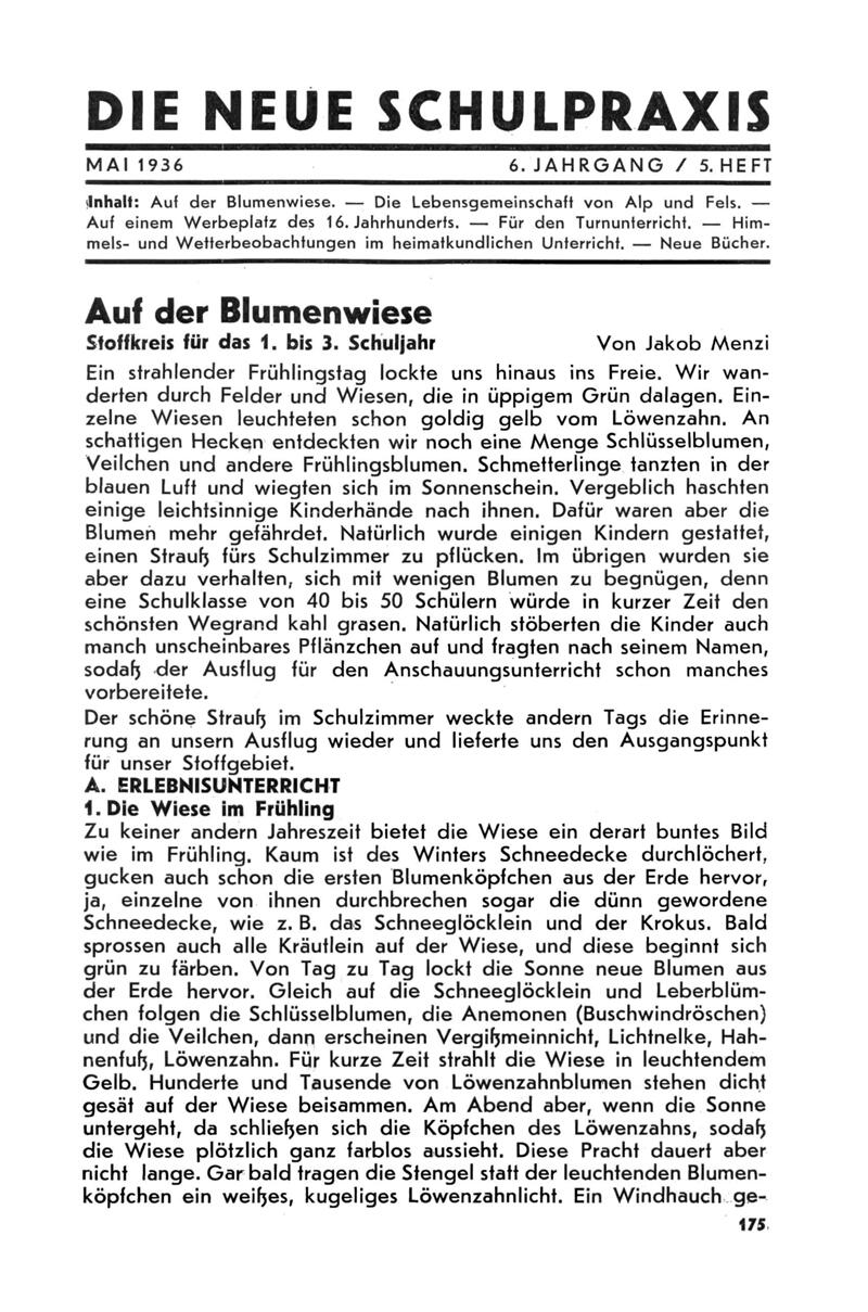 Buchumschlag - Heft 5