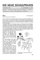 Heft 11
