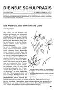 Heft 8