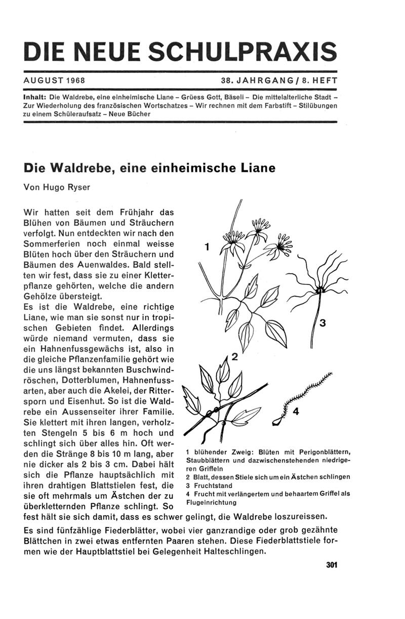 Buchumschlag - Heft 8