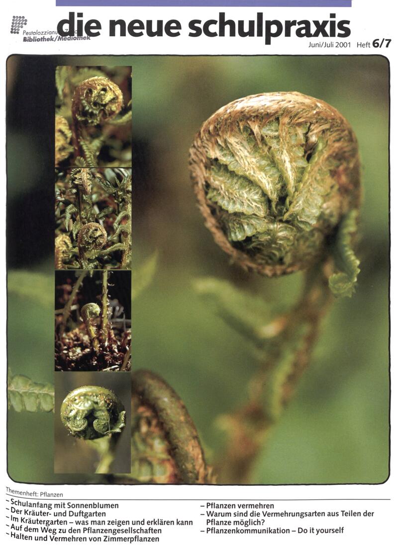 Buchumschlag - Heft 6-7