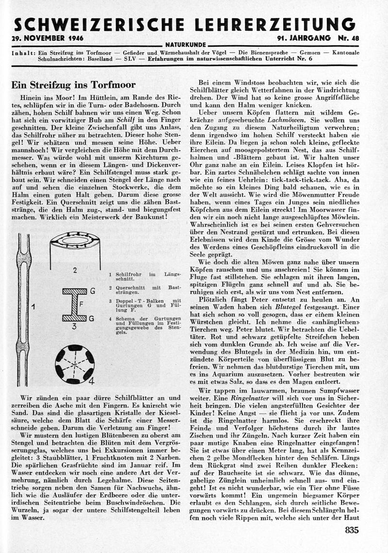 Buchumschlag - Heft 48