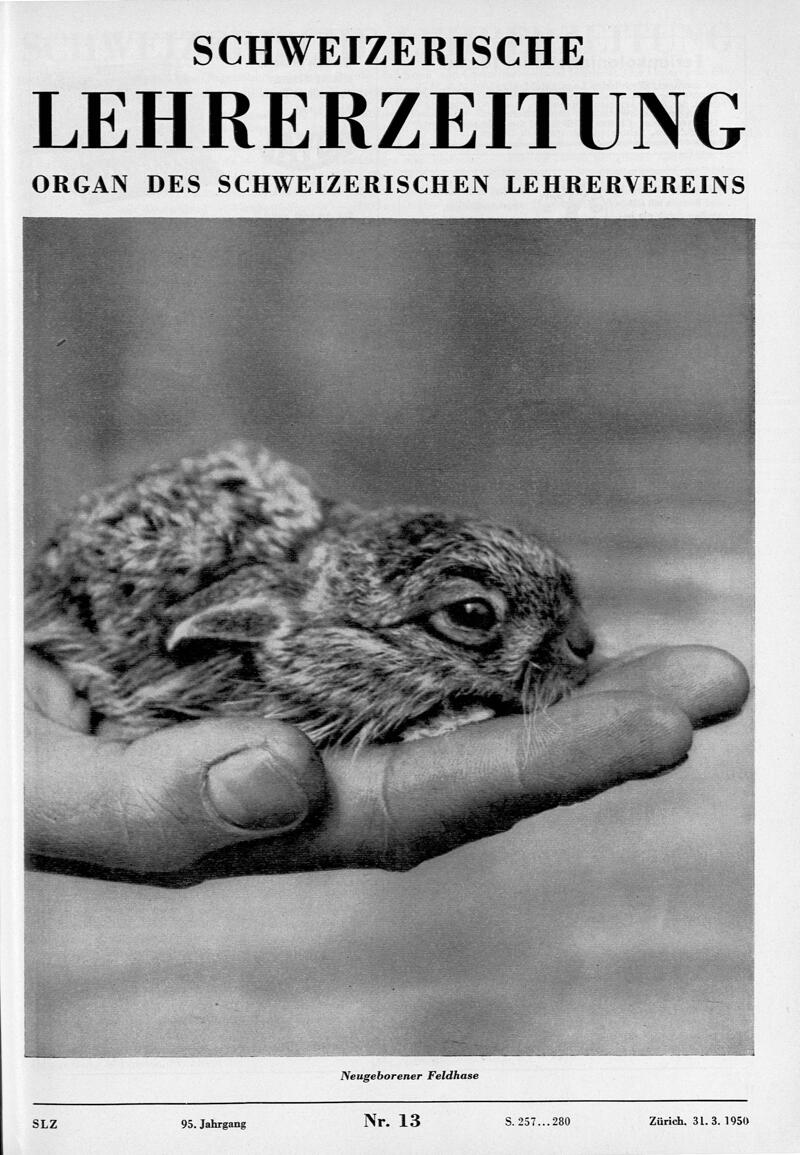 Buchumschlag - Heft 13