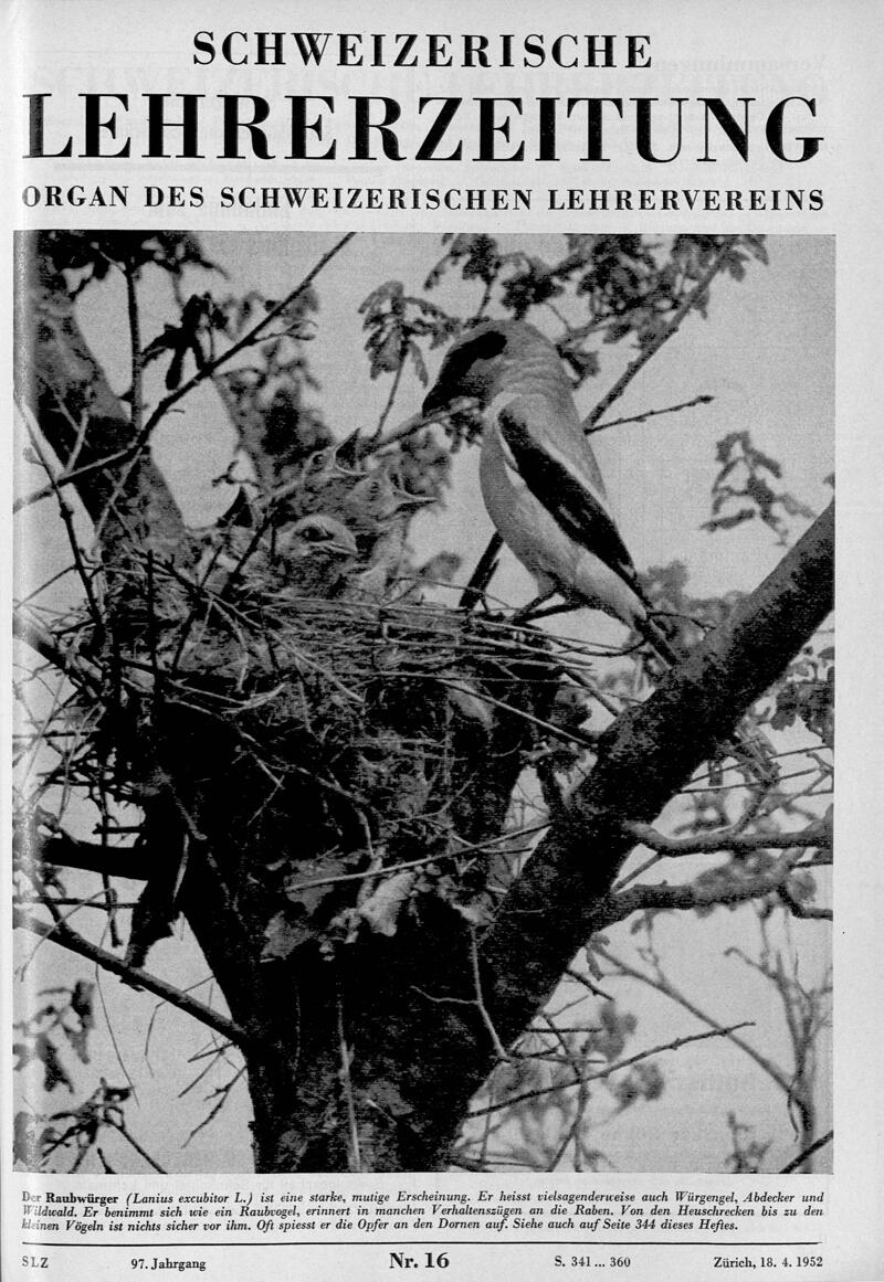 Buchumschlag - Heft 16