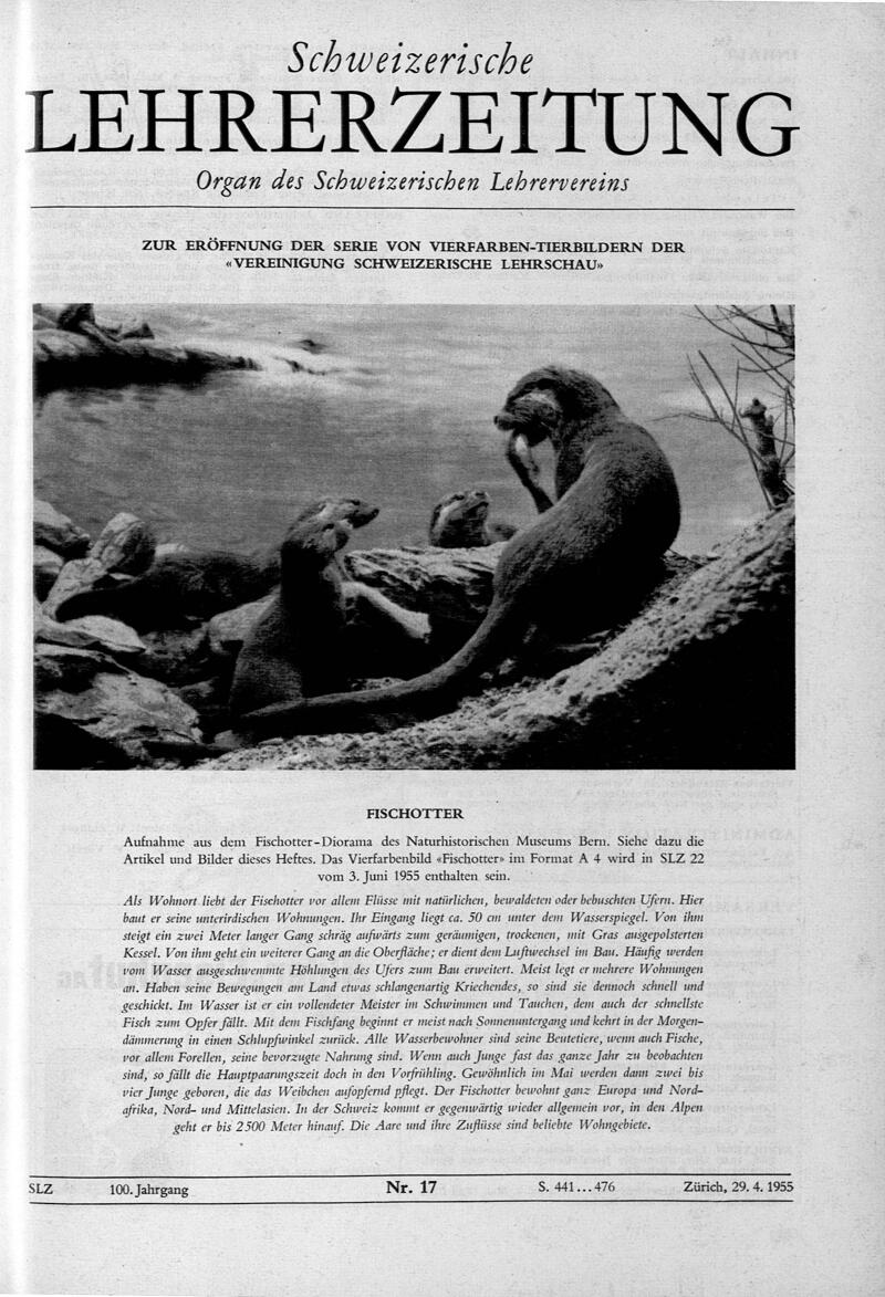 Buchumschlag - Heft 17