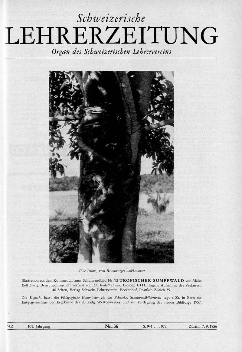 Buchumschlag - Heft 36