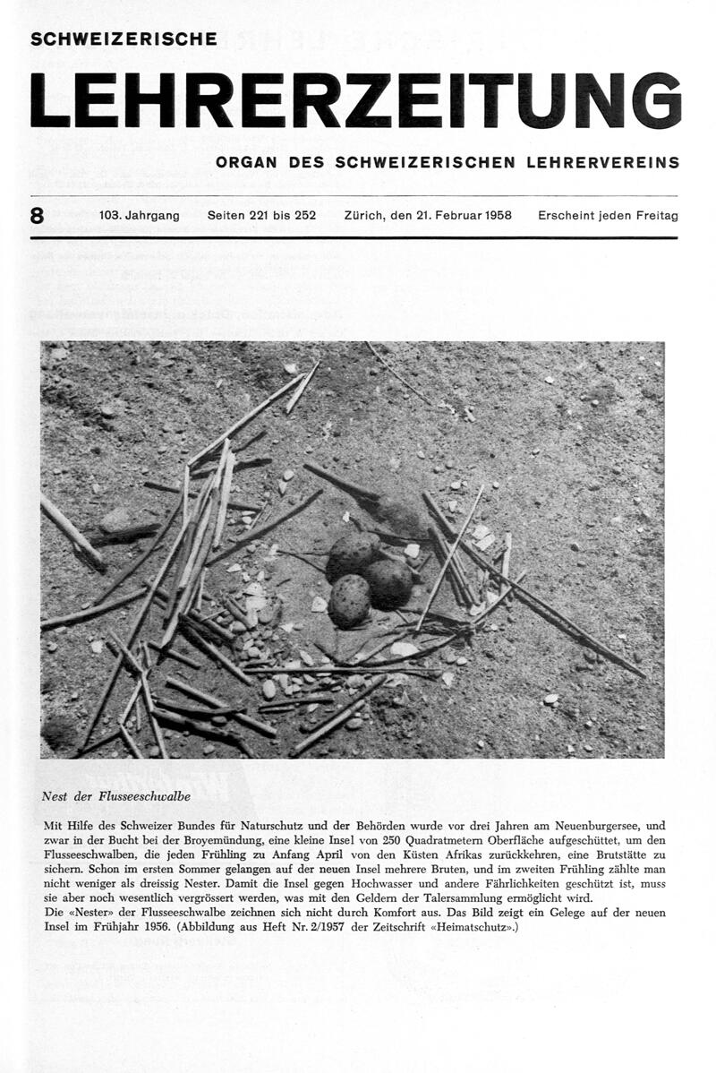 Buchumschlag - Heft 8