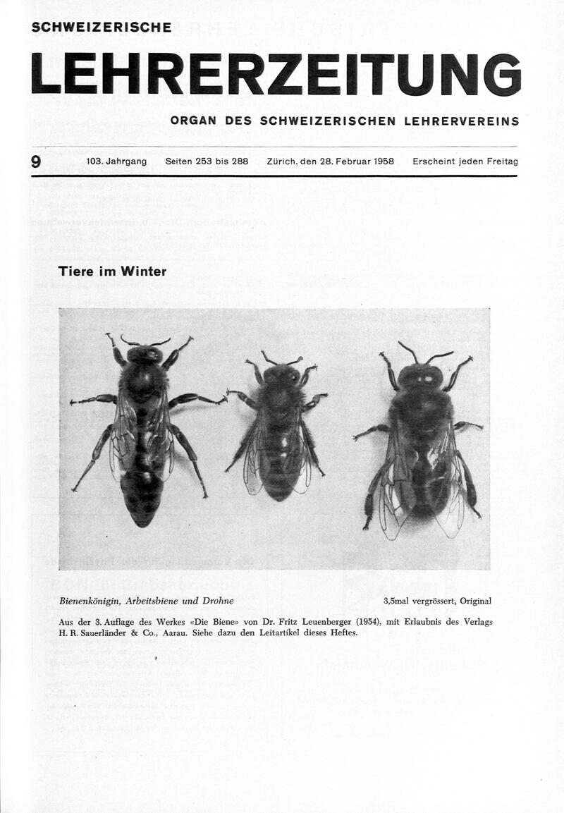 Buchumschlag - Heft 9