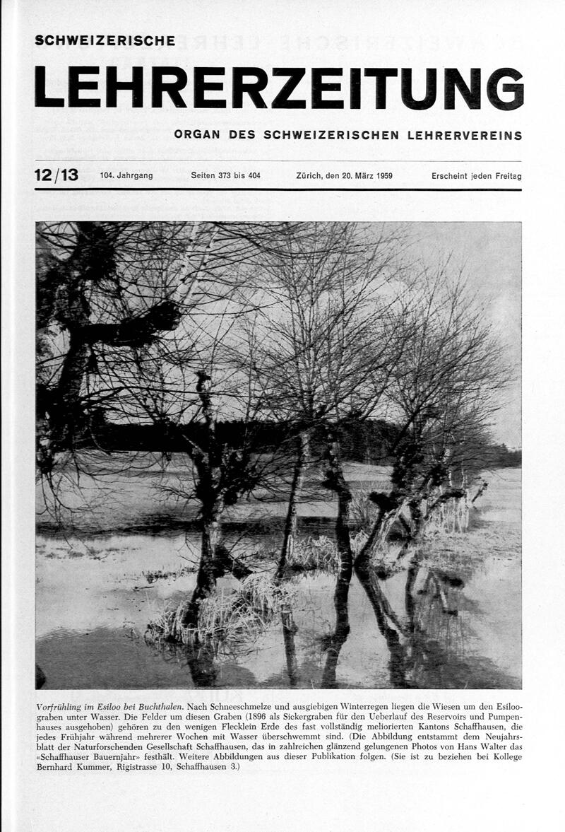 Buchumschlag - Heft 12-13