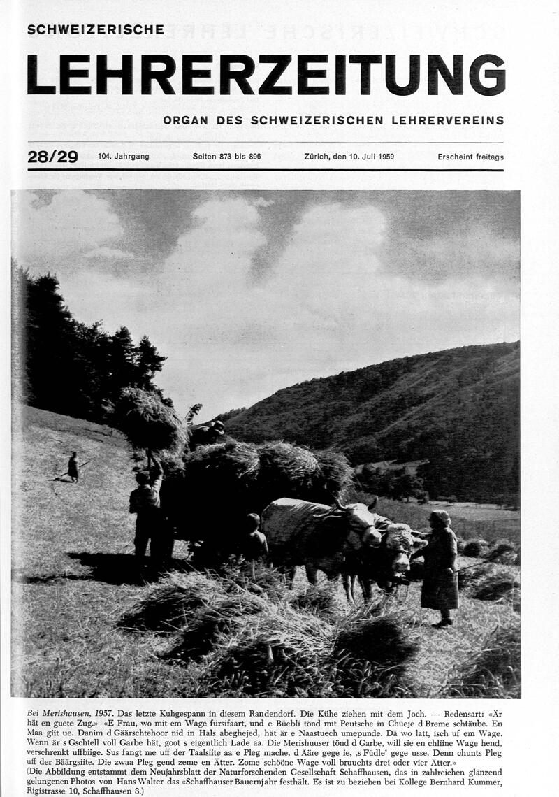 Buchumschlag - Heft 28-29