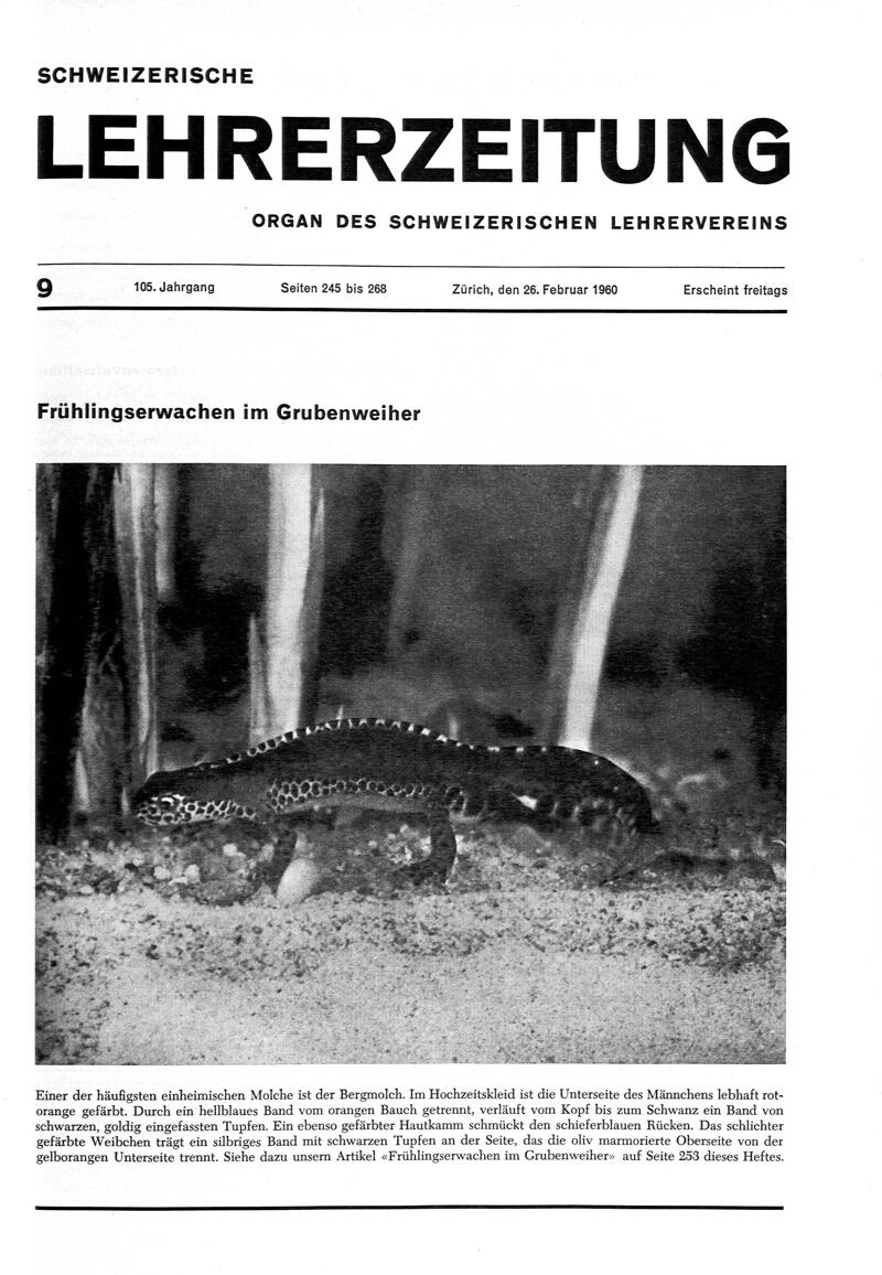 Buchumschlag - Heft 9