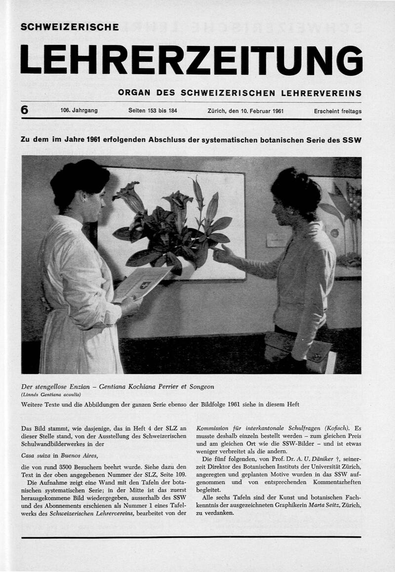 Buchumschlag - Heft 6