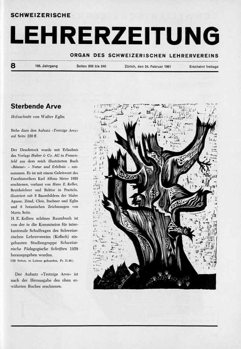 Buchumschlag - Heft 8