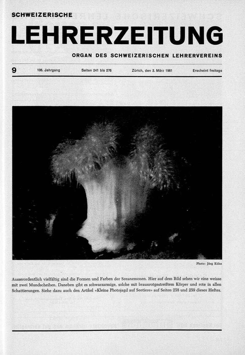 Buchumschlag - Heft 9