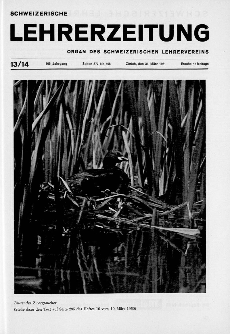 Buchumschlag - Heft 13-14