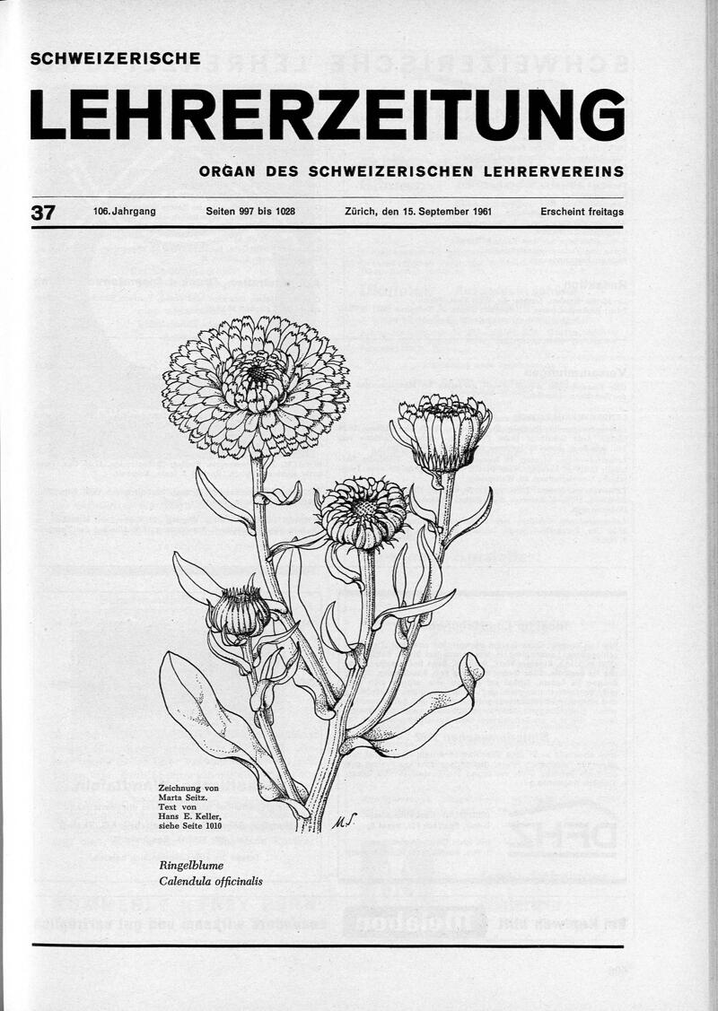 Buchumschlag - Heft 37
