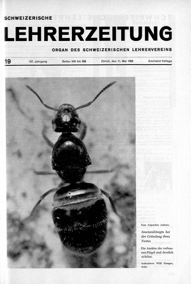 Buchumschlag - Heft 19