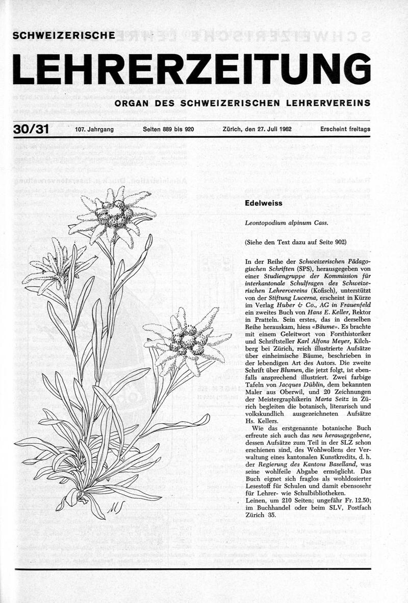 Buchumschlag - Heft 30-31