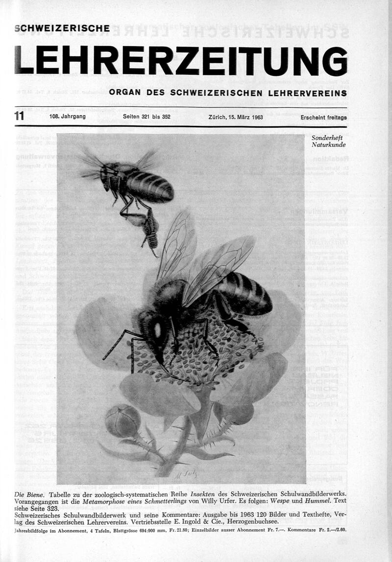 Buchumschlag - Heft 11
