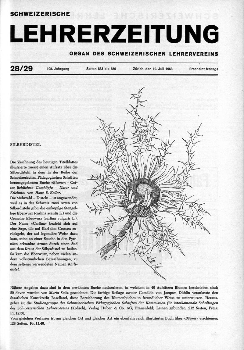 Buchumschlag - Heft 28-29