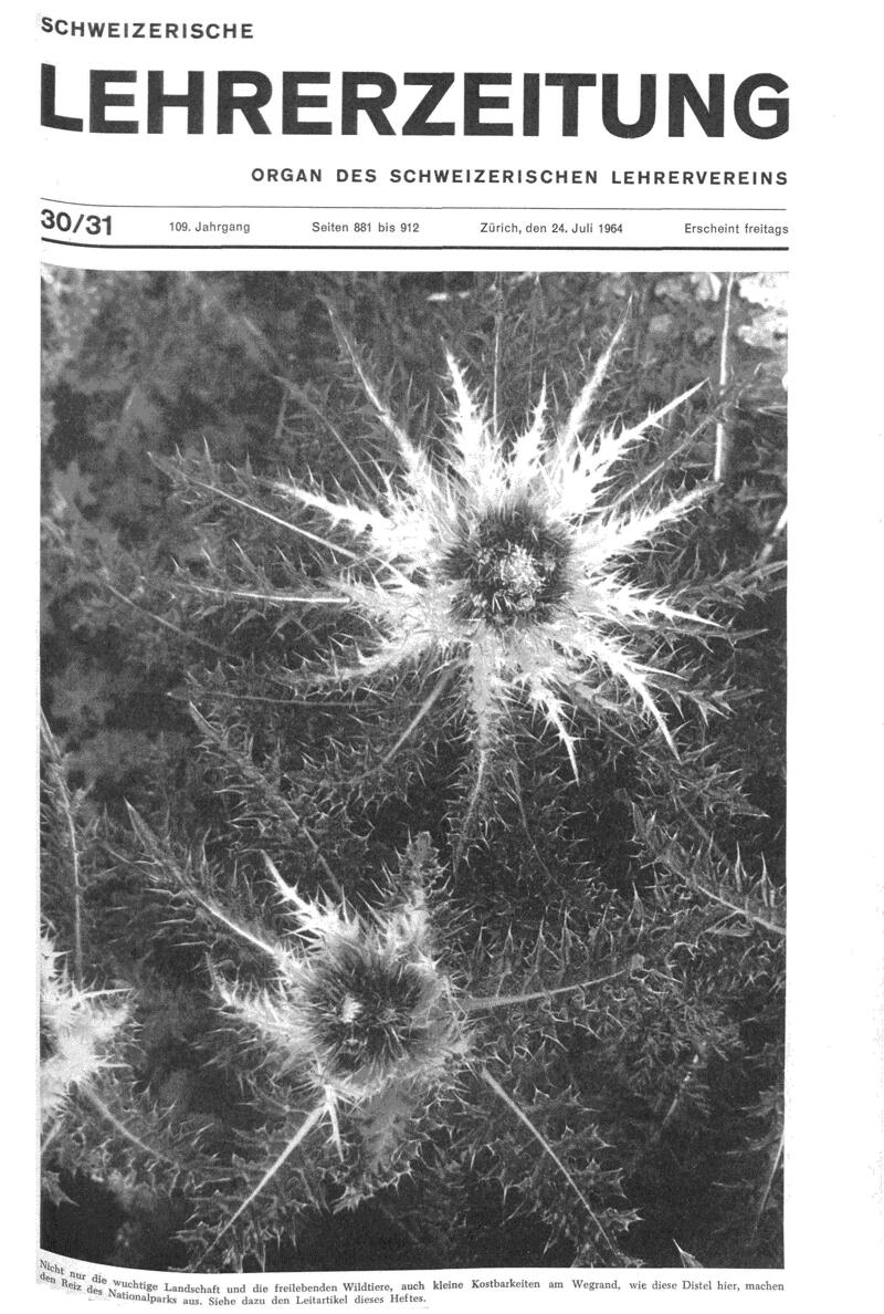Buchumschlag - Heft 30-31