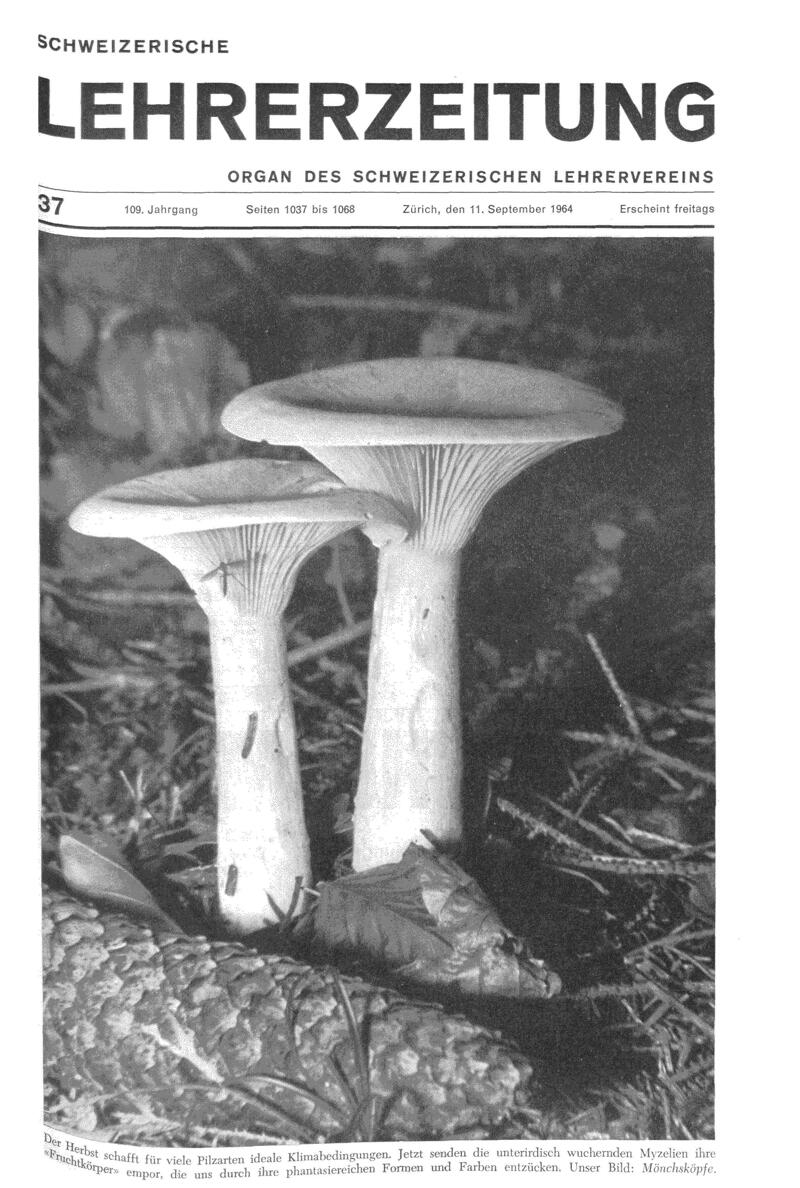 Buchumschlag - Heft 37