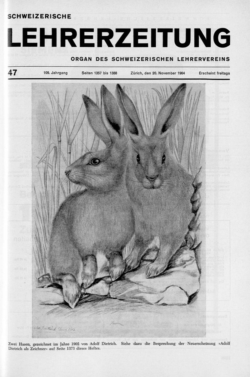 Buchumschlag - Heft 47