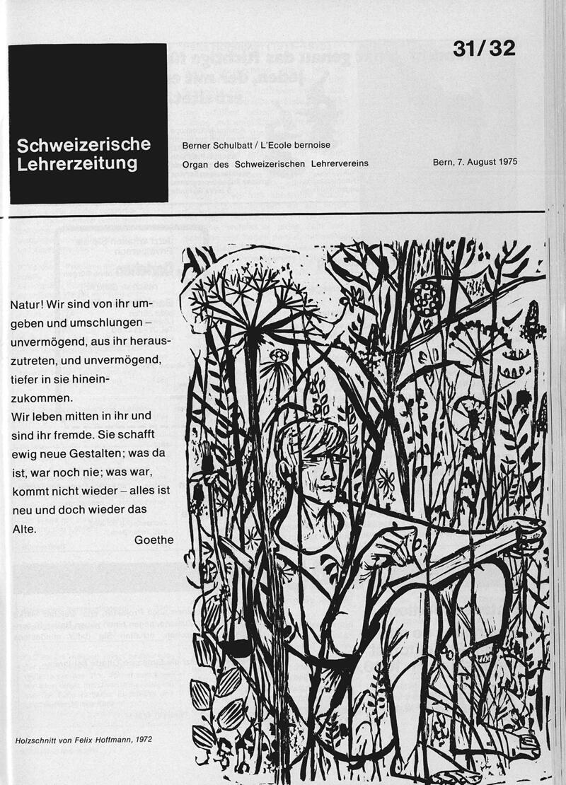 Buchumschlag - Heft 31-32