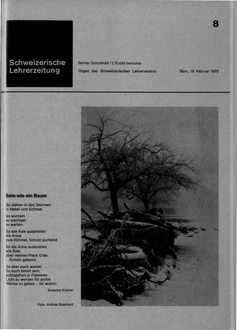 Buchumschlag - Heft 8